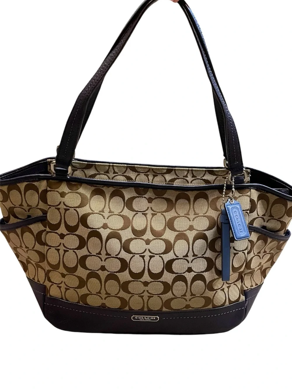 Coach Park Signature Carrie Tote